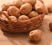 Какой картофель нужно варить, а какой жарить?
